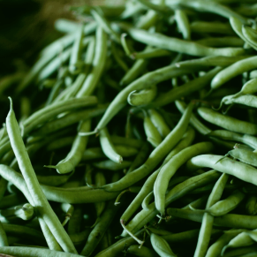 Green Beans - Quarter to Half Paint
