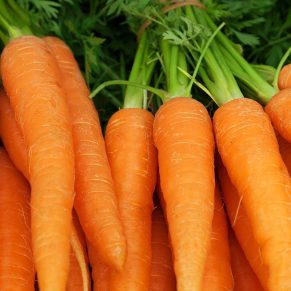 Carrots