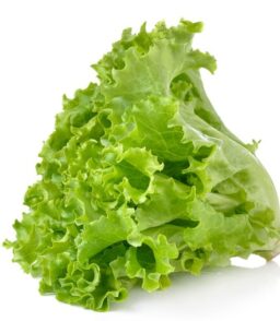 lettuce