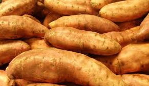 Sweet Potato