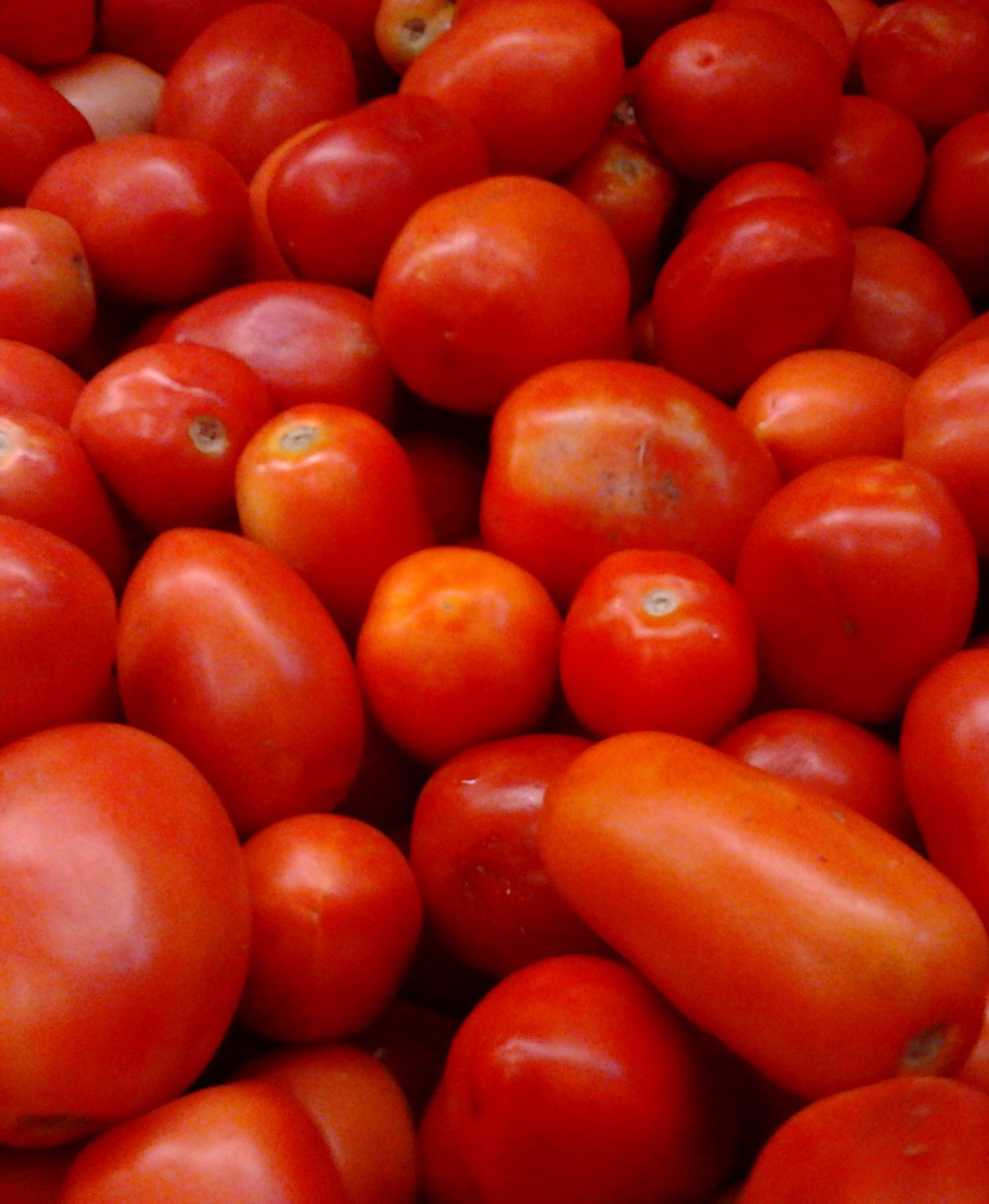 How Much Is a Basket of Tomatoes in Lagos?