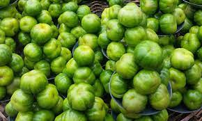 Garden Egg - Green