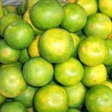 Oranges in lagos