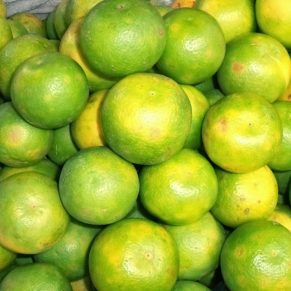 Oranges in lagos