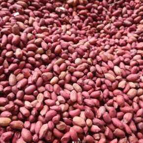 Raw Groundnuts (No Shell)