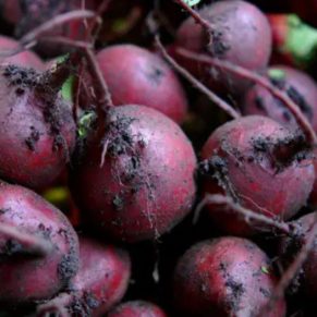 Beetroot