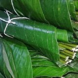 MoiMoi Leaves