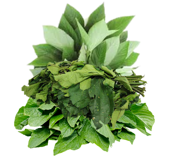 Vegetables (Ugu, Ewedu, Ukazi Etc)