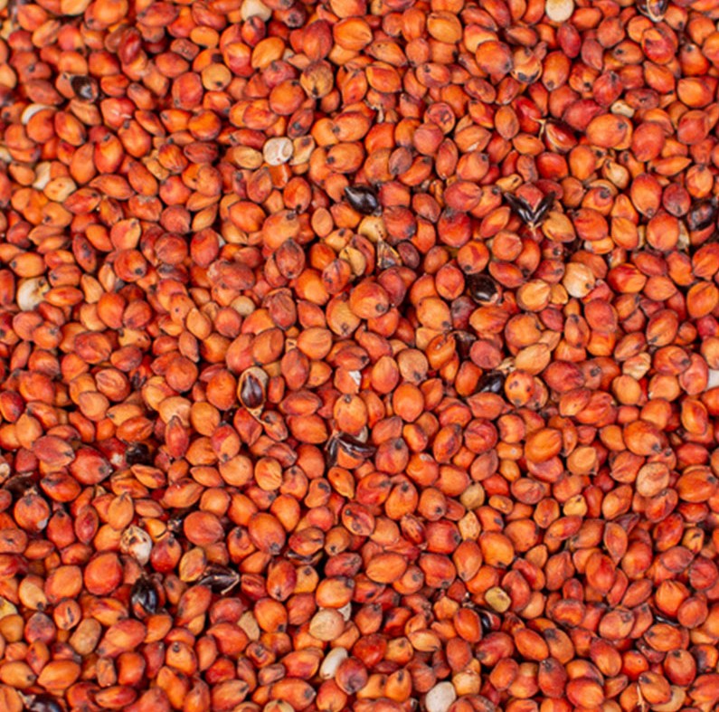 Red Guinea Corn