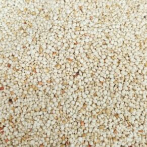 White Guinea Corn