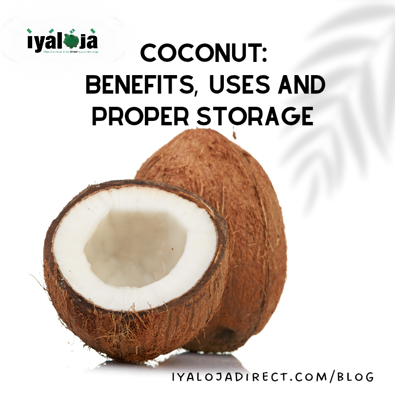 Coconut: Benefits, Uses, And Proper Storage