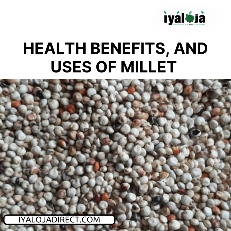 Amazing Health Benefits, And Uses of Millet