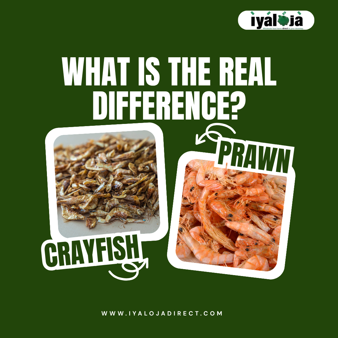 Crayfish vs. Prawns: What is the Real Difference?