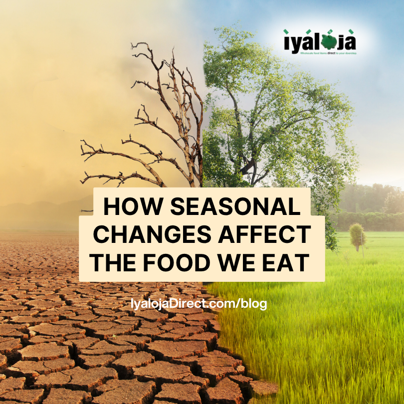How Seasonal Changes Affect the Food We Eat